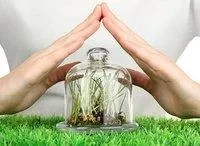 Фунгицид Беллис 38 %, в.г