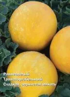 Дыня РАННЯЯ 133 (ТАМАНСКАЯ) (500 грамм) Поиск