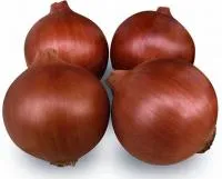 Лук Яровой ЭЛЕНКА F1 (250 000 семян) Cora Seeds