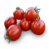 Томат АСВОН F1 (5000 семян) Kitano Seeds