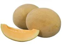 Дыня РОБАСТ F1 (1000 семян) Hollar Seeds