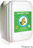 Варяг Трио